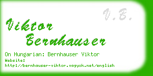 viktor bernhauser business card